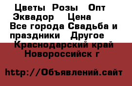 Цветы. Розы.  Опт.  Эквадор. › Цена ­ 50 - Все города Свадьба и праздники » Другое   . Краснодарский край,Новороссийск г.